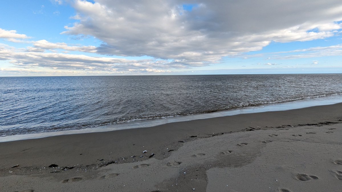 Wanda_Quinn's tweet photo. Our Sunday journeys tend to involve a body of water. This week was no different. We ended up at #KellysBeach in #KOUCHIBOUGUACNP. A cold but beautiful walk along the boardwalk and beach.
#NBLiving #ExploreNB #Pixel6a https://t.co/0wCV79epZn