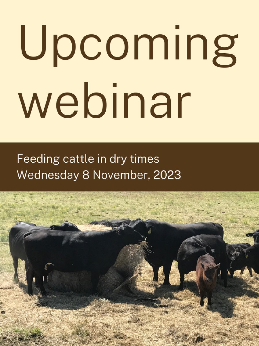 Don’t forget about the upcoming webinar on feeding cattle in dry times this Wednesday 🐮

Join beef cattle consultant Jeff House to discuss the key principles of managing feed requirements of cattle in dry times. 

Secure your spot today 👉 brnw.ch/21wEaNN