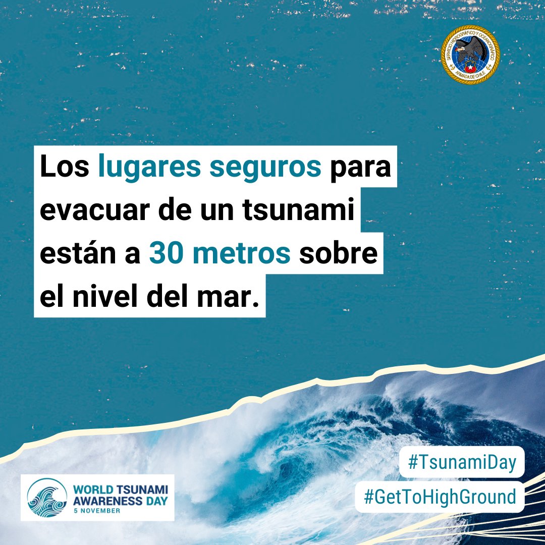 Tati Flores tweet media