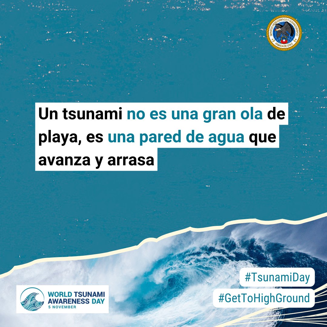 Tati Flores tweet media