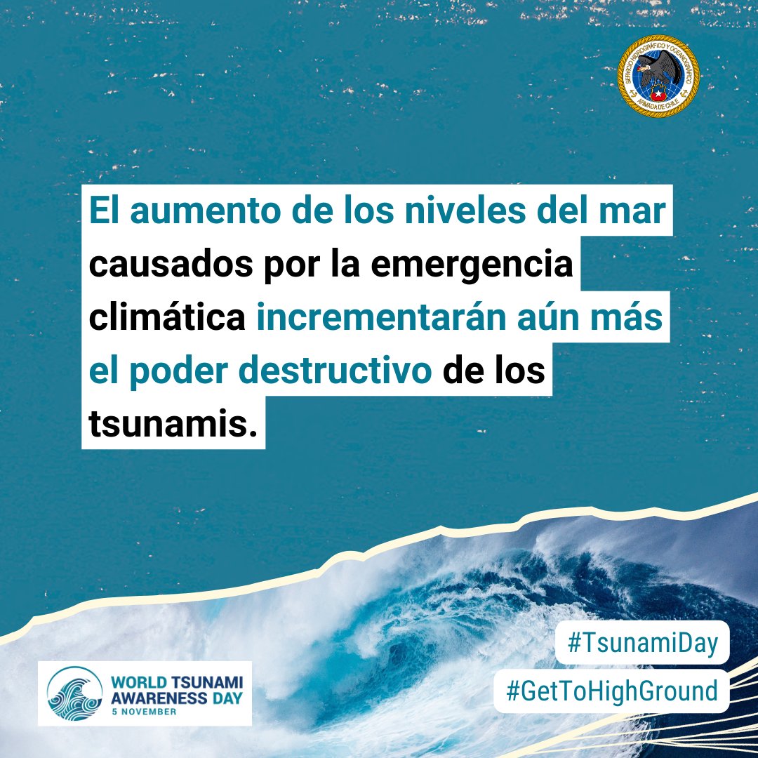 Tati Flores tweet media