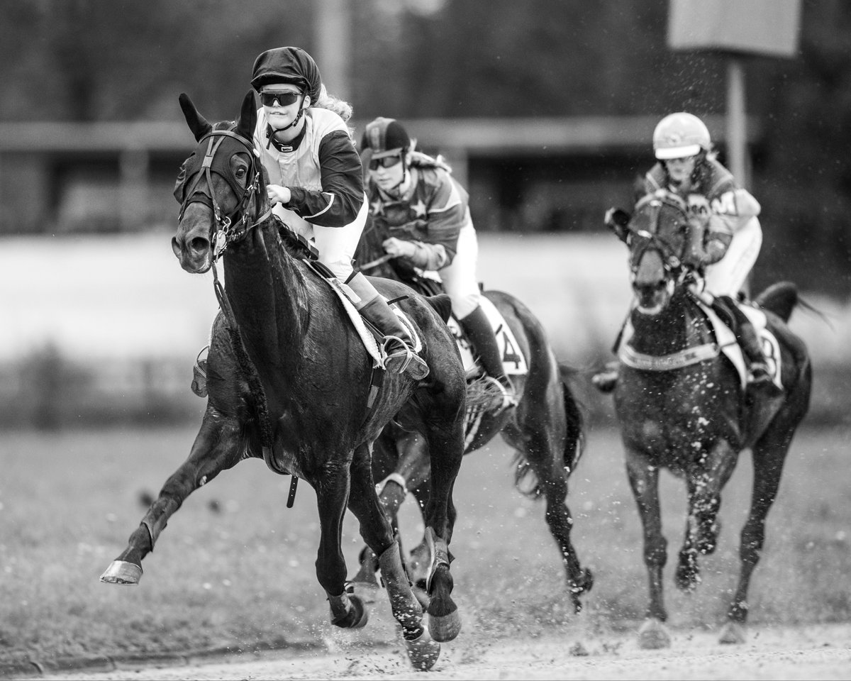 Monte at harness racing track in Gelsenkirchen, Germany.
.
.
#chasinglight #makemoments #liveauthentic #ig_germany #getoutside #toldwithexposure #traber #traberliebe #horse #trot #trotter #traberpower #paardenfotografie #paardensport #paardenliefde #pferdefotografie #pferdeliebe