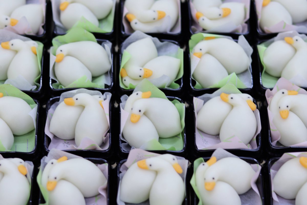 beniyamiyake's tweet photo. アヒル和菓子の中でもお気に入りの子達です🍡 https://t.co/FKsPuDGItB