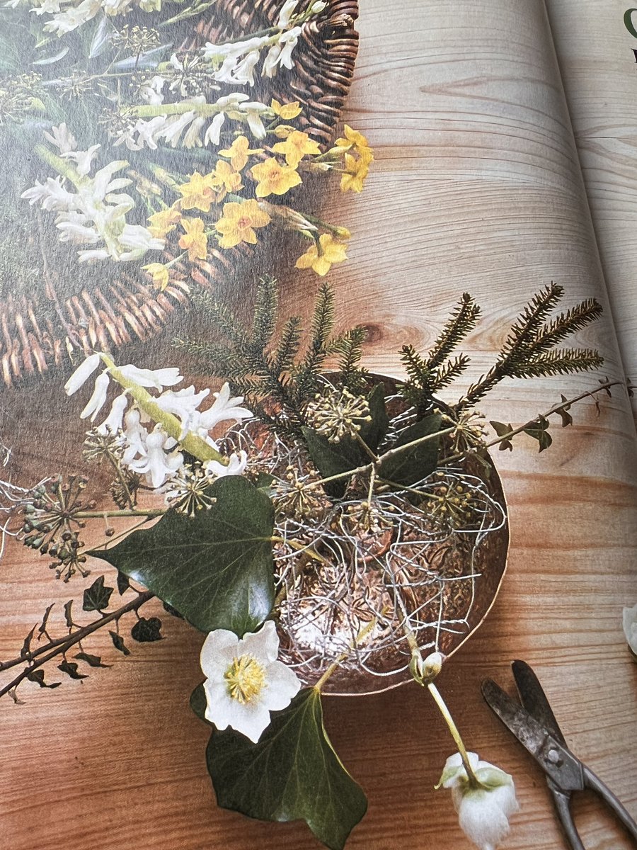 evolveflowers tweet media