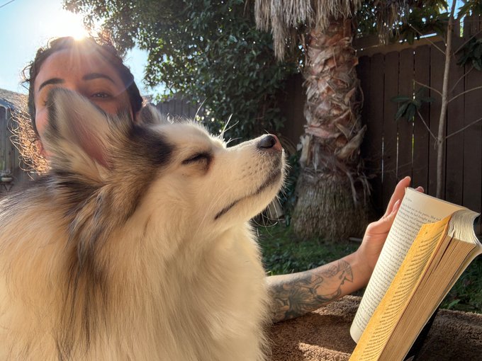 2 pic. My dog interrupting my tanning https://t.co/39bNjHnKfz