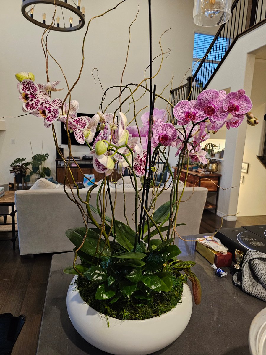 Snubs's tweet image. Today my last episode of ThreatWire posts on the Hak5 YouTube channel - the time has come for me to focus my time on my own channel. Thank you @Hak5 for 15 years of experiences and memories!