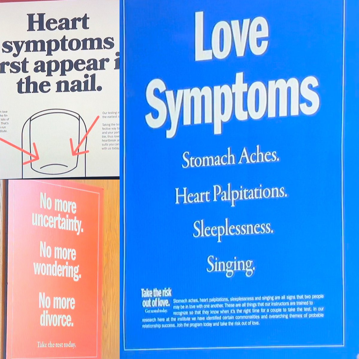 Magpie Jack tweet media