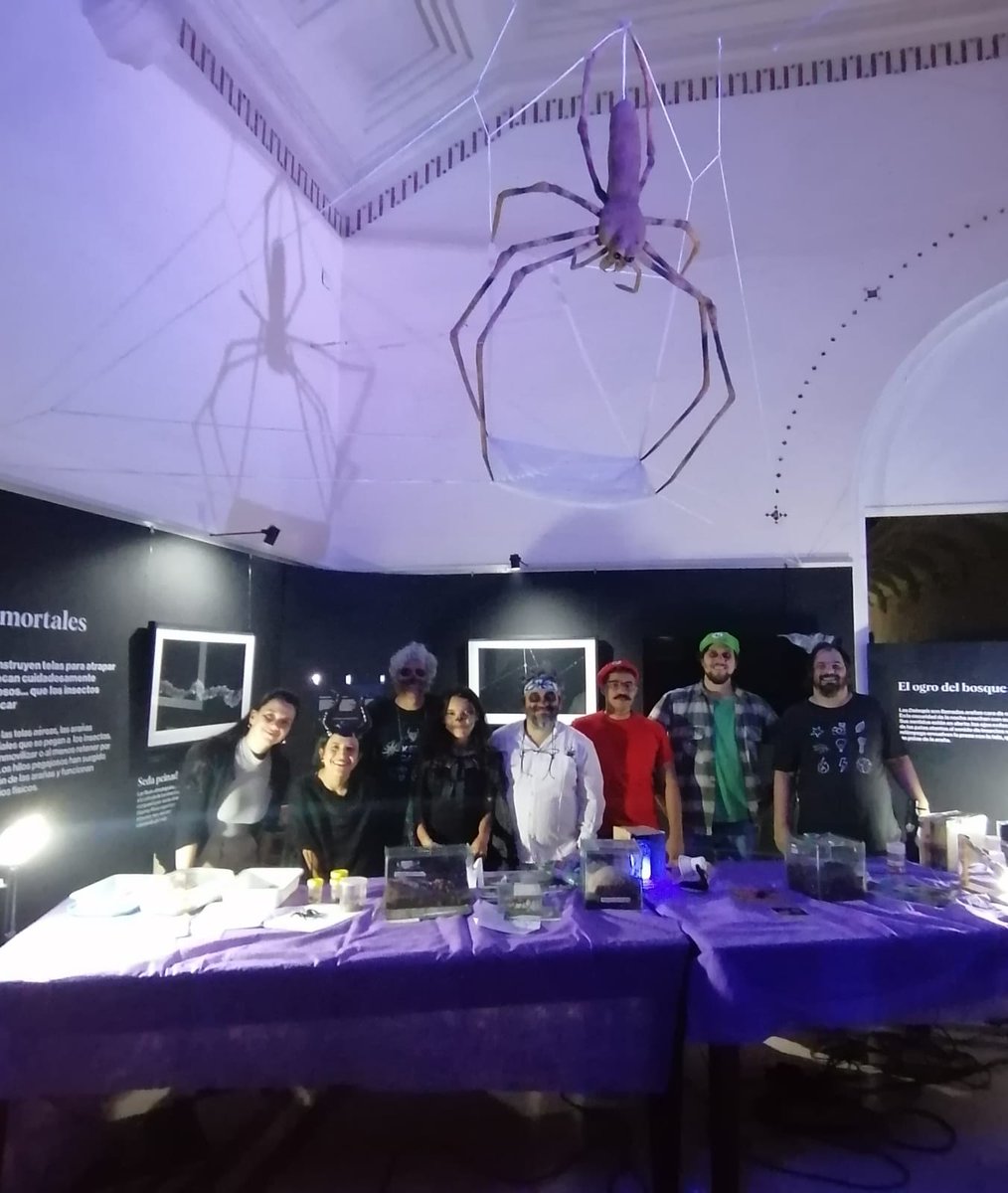 AracnoMACN's tweet photo. Noche de brujas MACN 2023.  Nuevamente nuestra División interactua con el público poniendo en valor la aracnológía. El gran carisma de los arácnidos nos hace la tarea fácil! Y el ambiente de la noche de brujas ayuda! https://t.co/RgjSsxch3u