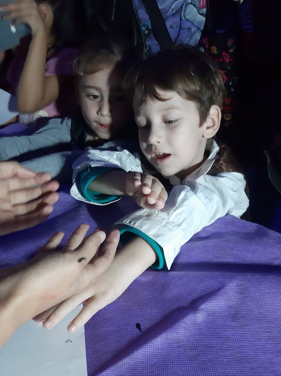AracnoMACN's tweet photo. Noche de brujas MACN 2023.  Nuevamente nuestra División interactua con el público poniendo en valor la aracnológía. El gran carisma de los arácnidos nos hace la tarea fácil! Y el ambiente de la noche de brujas ayuda! https://t.co/RgjSsxch3u
