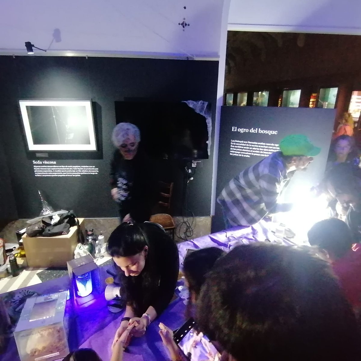 Noche de brujas MACN 2023.  Nuevamente nuestra División interactua con el público poniendo en valor la aracnológía. El gran carisma de los arácnidos nos hace la tarea fácil! Y el ambiente de la noche de brujas ayuda!