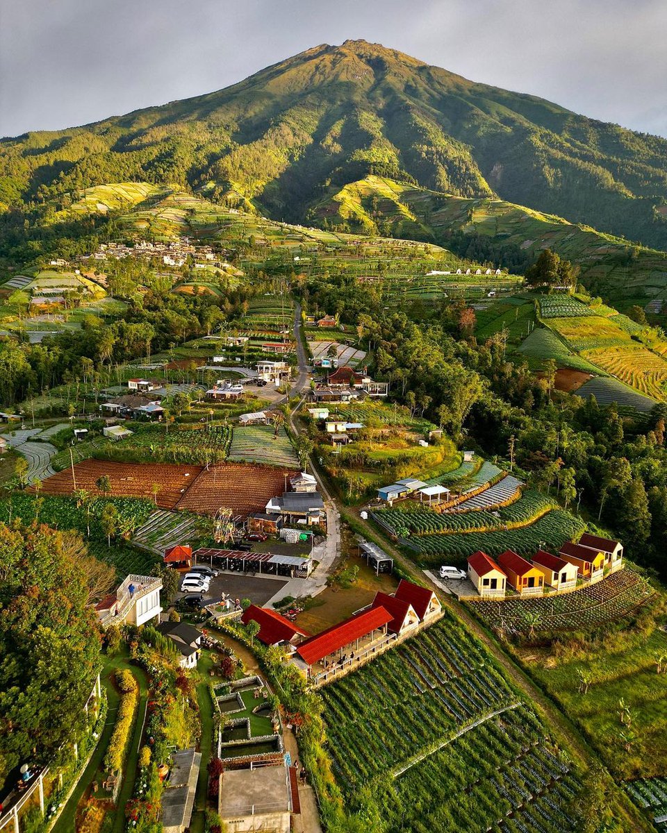 Untuk hari ini....
Semoga apapun urusan dilancarkan
apapun yang terjadi diberikan perlindungan
apapun keadaan ditetapkan dalam ketenangan 
dan apapun yang ada dilimpahi keberkahan🌹

Bismillah....senin ✊🏻

Salam Wisata
🌍 Silancur Highland, Magelang
#PuspitaNagari 🌹