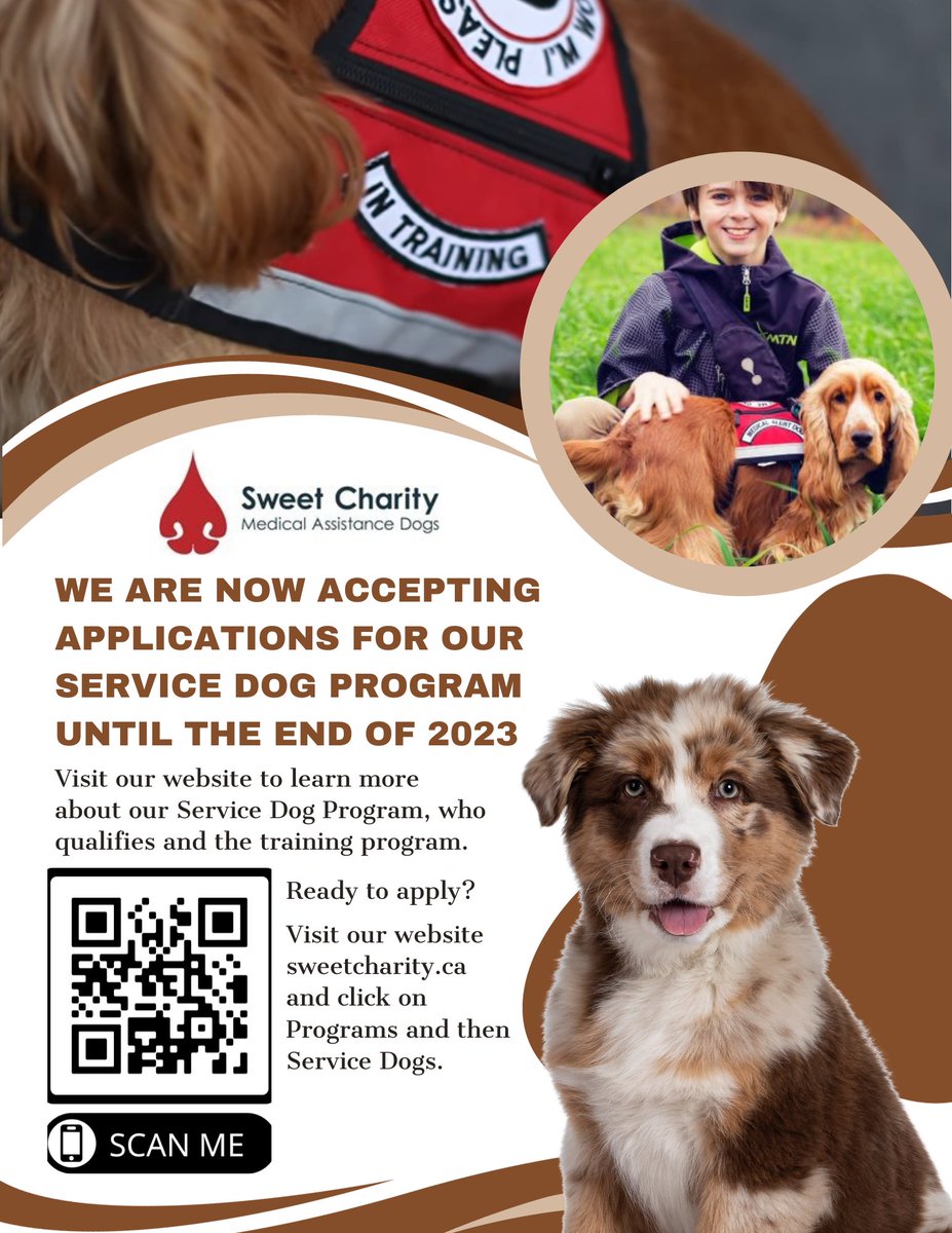 We are now accepting applications for our Service Dog Program!
For more information on the Service Dog Program, who qualifies, and the training process visit our website: sweetcharity.ca/programs/pssd/