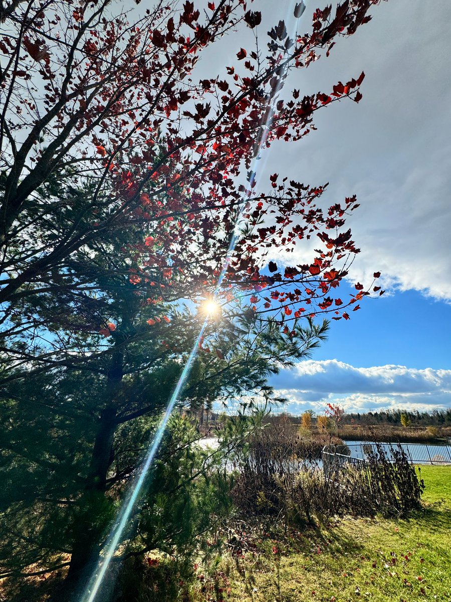 MichelleKisil's tweet photo. Always grateful to be able to get outside & enjoy Mother Nature’s gifts.
#RunViews #Trails #GetOutside #SelfCare #MyOttawa #Nature #Autumn #IYKYK #Grateful #Rocks #Trees #Water #Reflection 🥰 https://t.co/F2NdNkZ4gd
