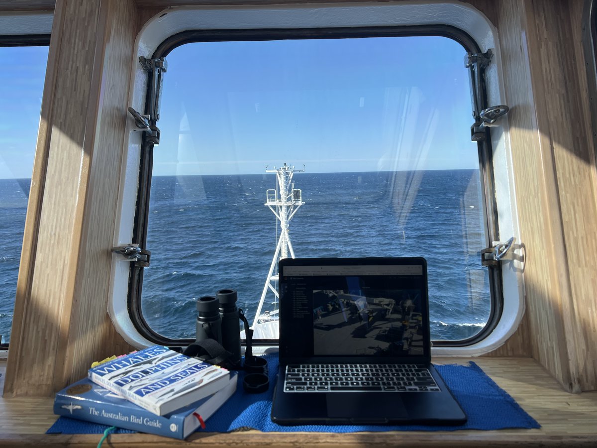 Jessica Bolin tweet media