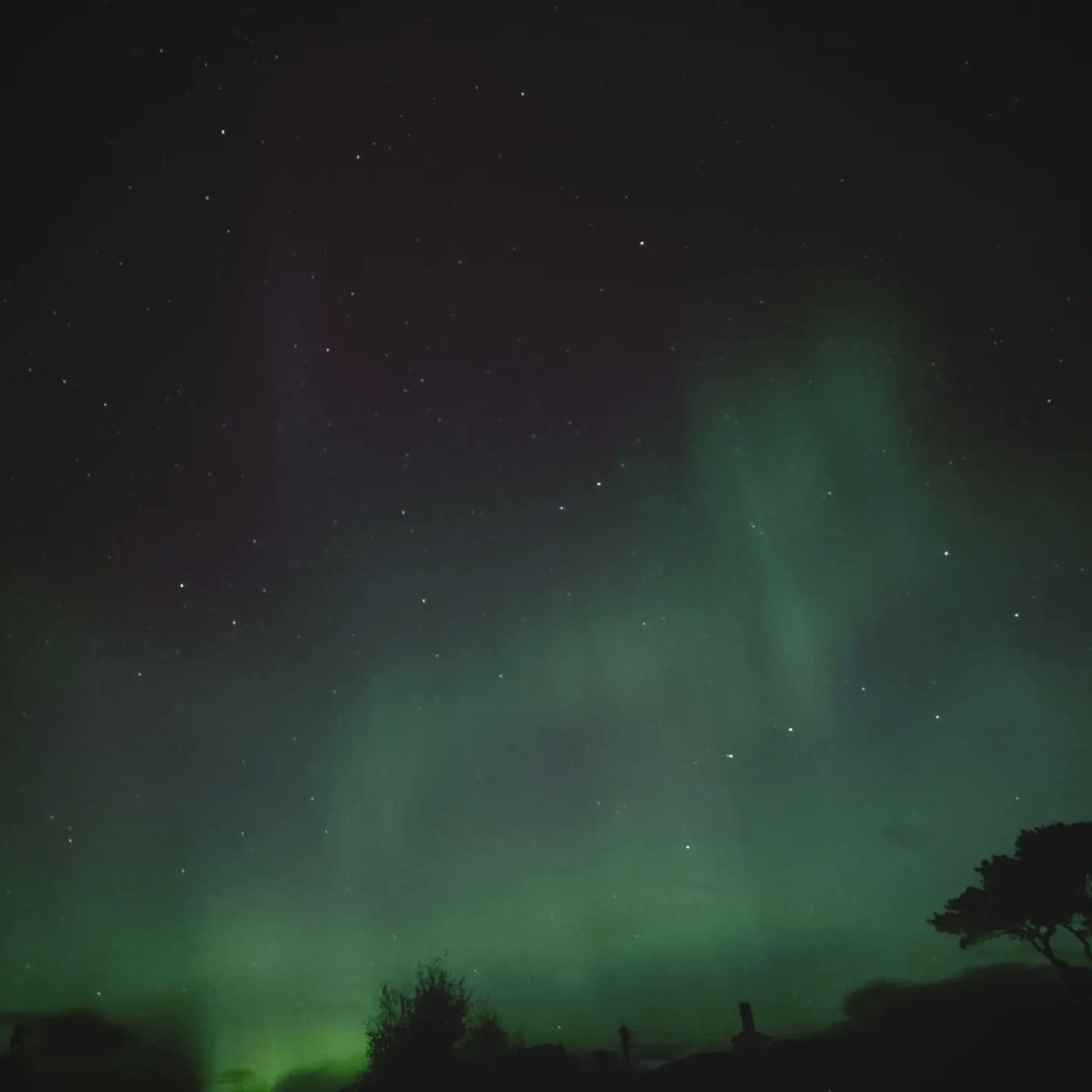 AlexRussaxjan's tweet photo. #aurora #Skye https://t.co/1sgRUkFUDH