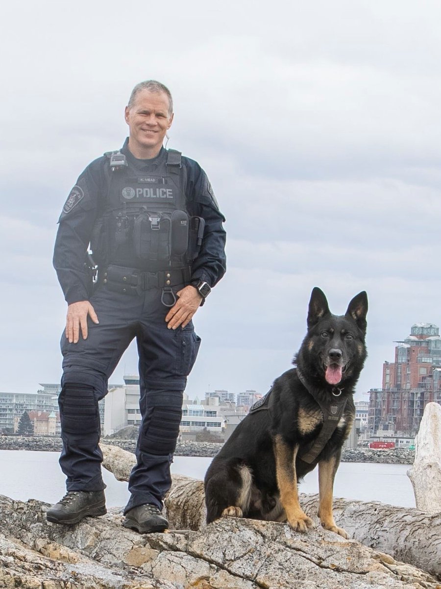 SaanichPolice's tweet photo. We are sad to report PSD "Hitch" has passed away from medical complications. He served since 2016 &amp; responded to the BMO incident in 2022. His partner, Cst. Mead said, "Hitch loved every aspect of his job". Hitch, thank you for protecting our community for so many years.@ICS_K9 https://t.co/Fdlj6EP0hX