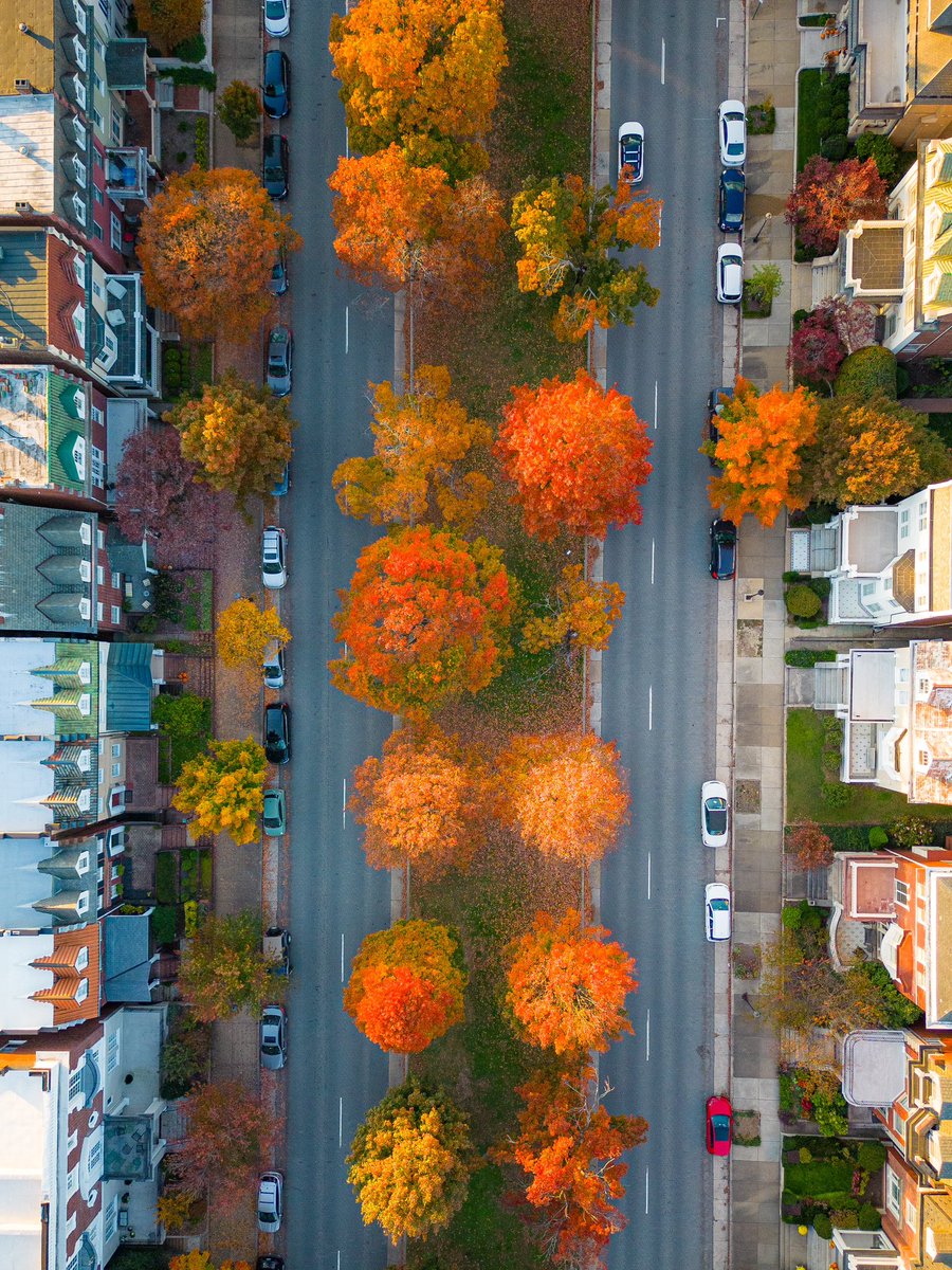 Fall in Richmond, VA 🍁 2023