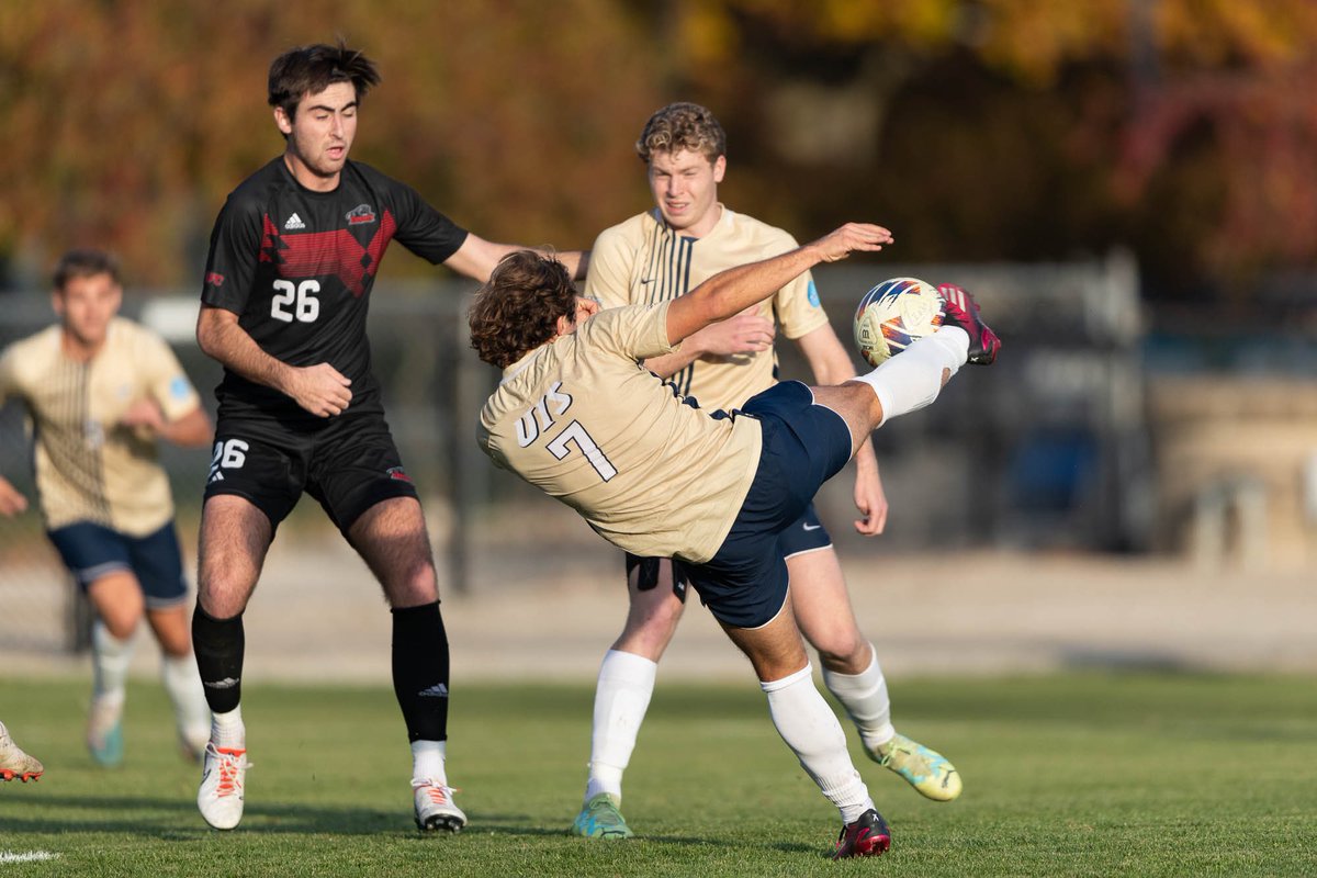 UISedu's tweet photo. The @UISMSoccer team won their postseason GLVC Quarterfinals game today 1-0 over Drury at Kiwanis Stadium to advance to the GLVC Semifinals. Go Stars! ⭐️ https://t.co/cnx1XBxry1
