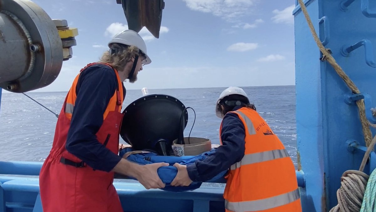 Jessica Bolin tweet media