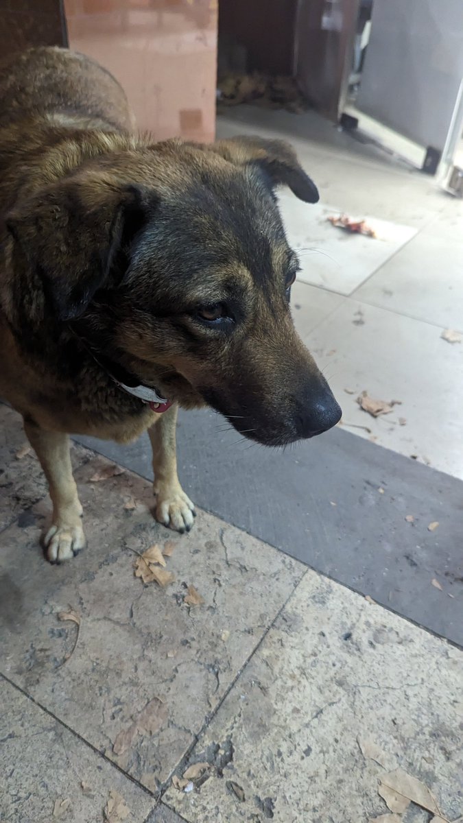 керил tweet media