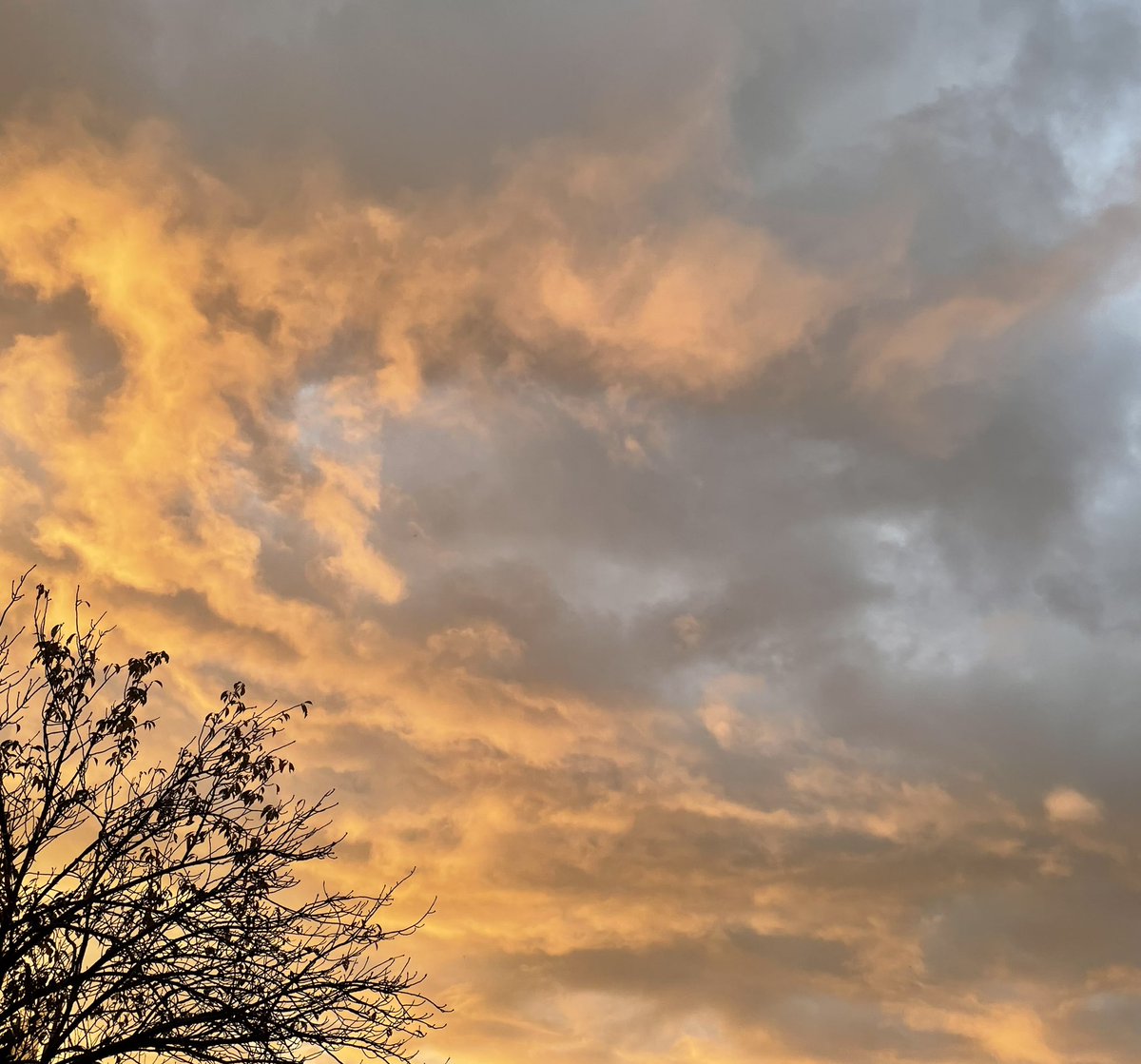 XML11ZfOdUcTwcv's tweet image. 雲がかりの空は隠すようで君に似ていた
#夜きみ #白岩瑠姫 #Gradation #JO1 #EQUINOX