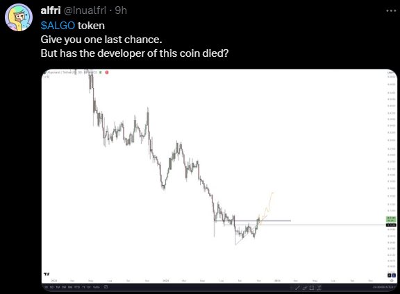 EliZ tweet media