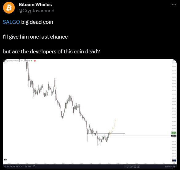 EliZ tweet media