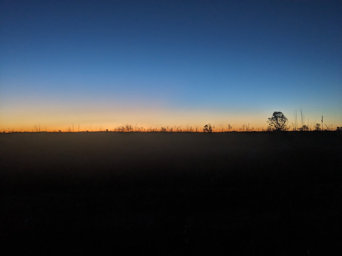 nicanack's tweet photo. maybe a pre-dawn quail covey count is worth it. https://t.co/Thk1QRPNDf
