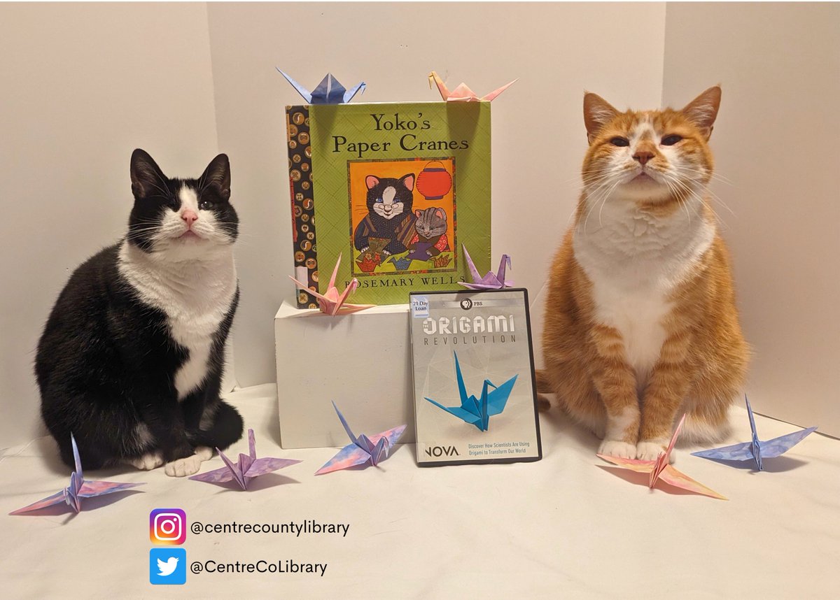 CentreCoLibrary's tweet photo. Today is Origami Day!  Horatio and Jojo folded these paper cranes (with their owner's help). 

What is your favorite origami to fold? 

#Caturday #OrigamiDay #Origami #HoratioTheCat #JojoThePirateCat https://t.co/gBIaaT2sJB