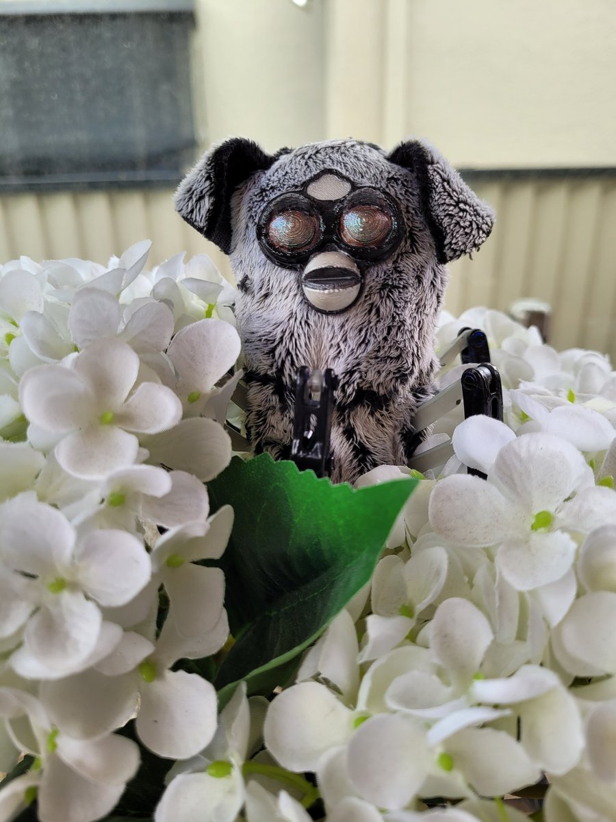 カツ🌸 tweet media