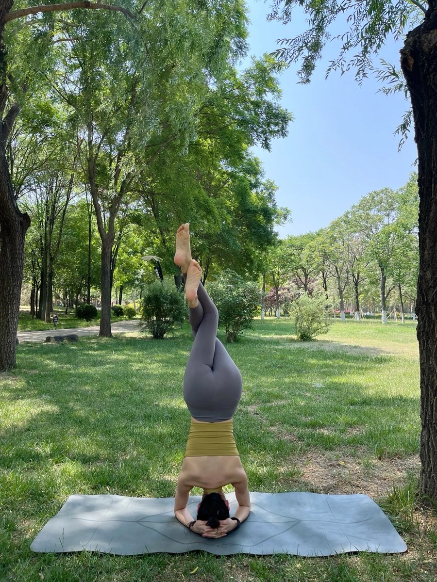 arrapot18's tweet image. There must be some hobby to support the tiredness and triviality of life, such as yoga, which fills your life with anticipation and joy, and heals your heart with it #yoga #outdoors