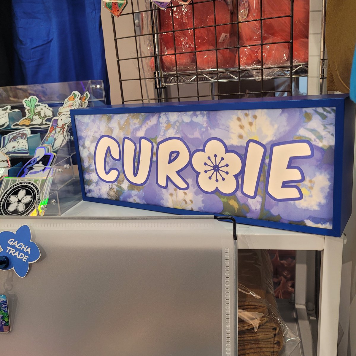 Curoie's tweet photo. Looky we got a pop up at MrSuprise!! https://t.co/ZeVpULo59C