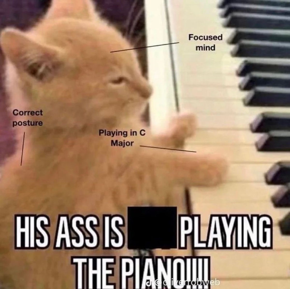 PostsOfCats's tweet photo. https://t.co/3O8QQOLrlg