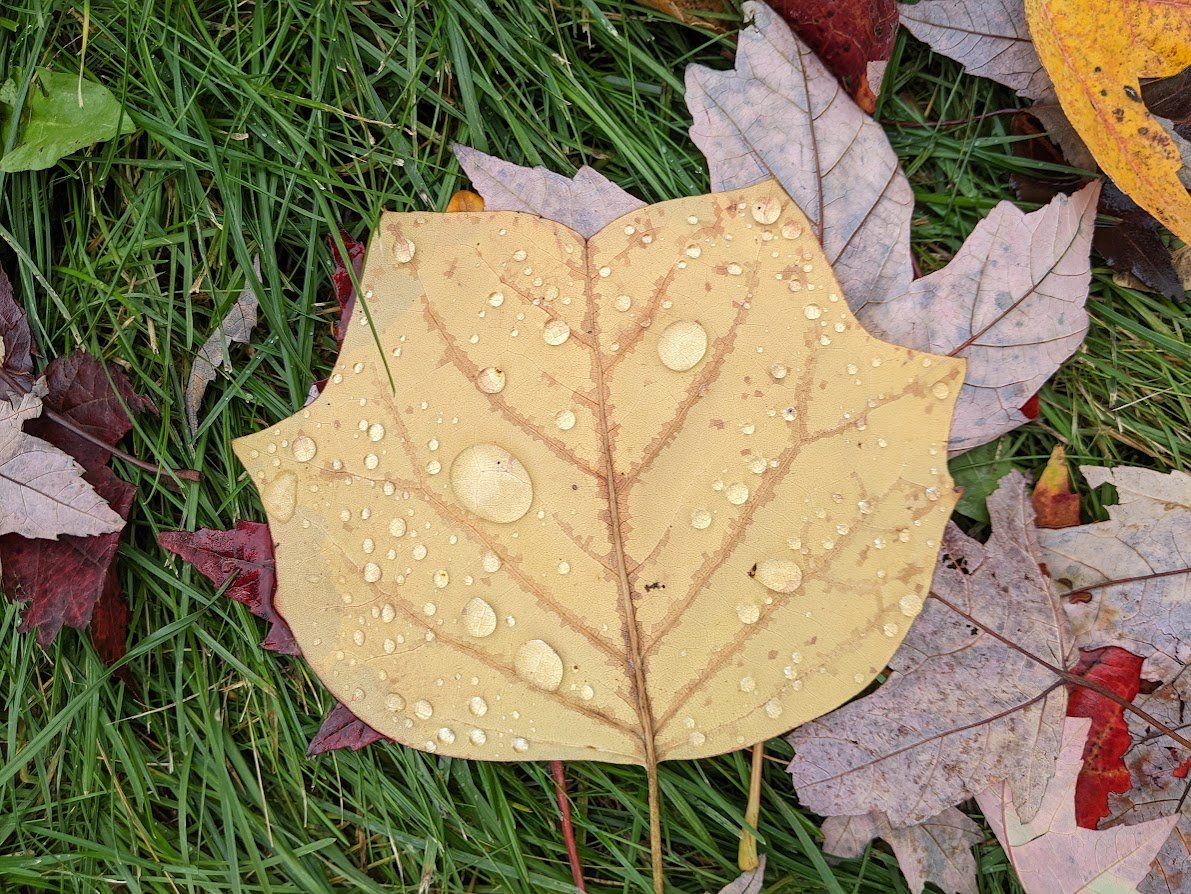 Tim McKay tweet media