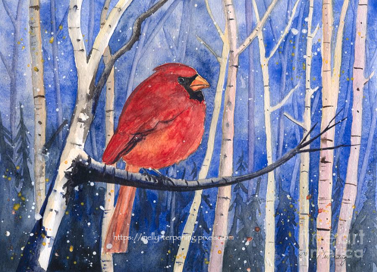 Artwork for sale! -'Red Cardinal'-fineartamerica.com/featured/north… 
#watercolor #watercolorpainting #cardinalbird #birdpainting #northerncardinal #nurseryart #holidaygifts