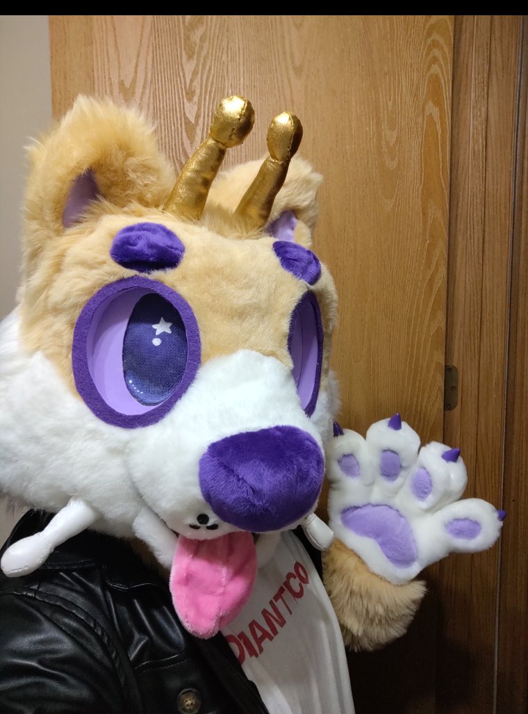 QRFursuits's tweet photo. 🥰 ciaooooo https://t.co/nw4Wrb4CUN