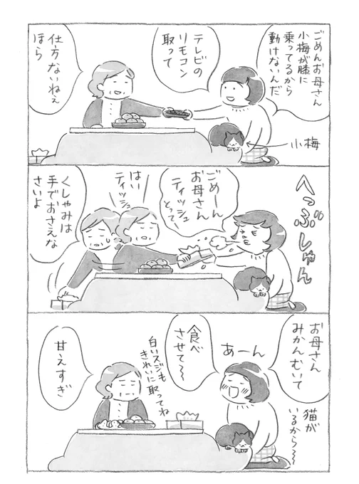 猫が乗っているから動けないんです 