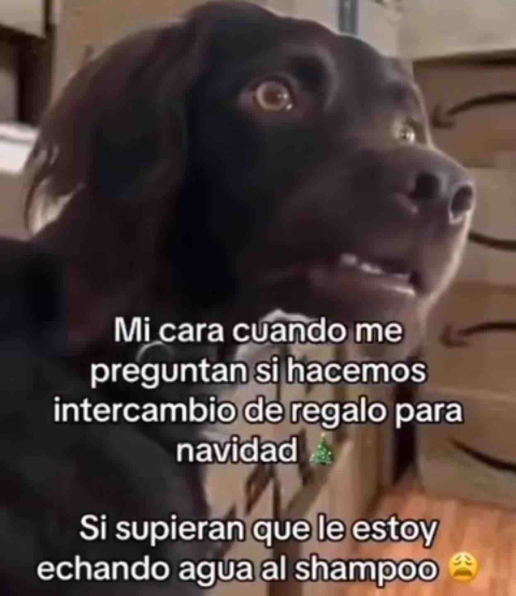Guarromantico_'s tweet photo. https://t.co/TkEcqxXJ1p