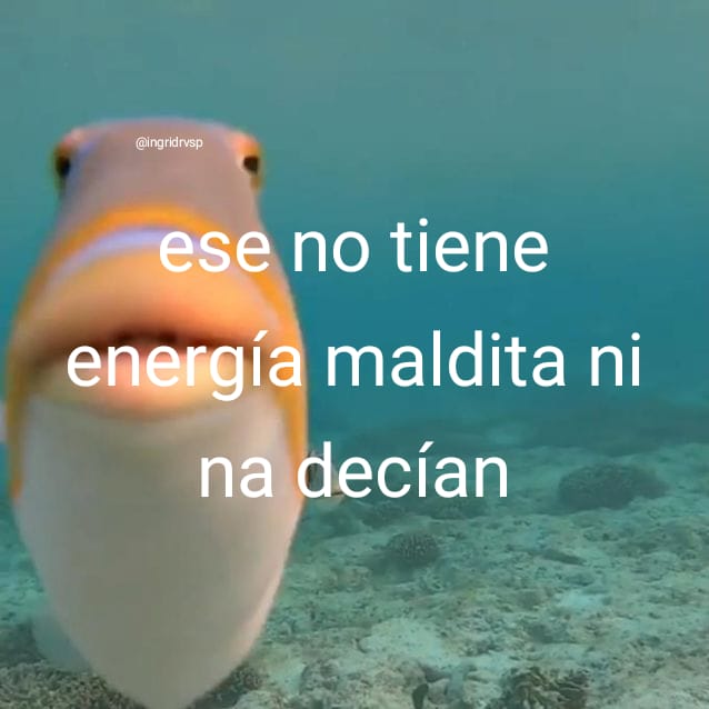 vendo_app's tweet photo. El pez que decide no ir a por Toji 🐟🐠

#JujutsuKaisen #TojiFushiguro #anime #Anitwt #meme https://t.co/0TZd4MDm24