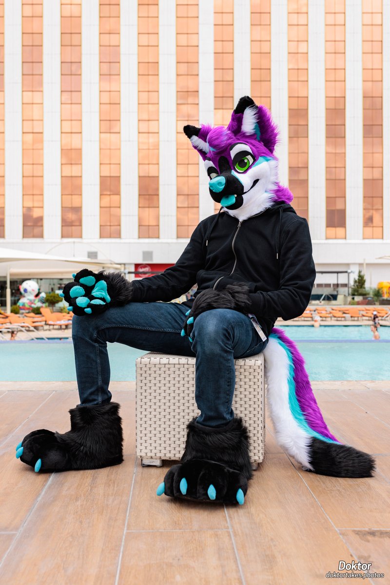 Just some poolside chill time! Come and join me in the hot tub later... 📸 @DoktorTheHusky