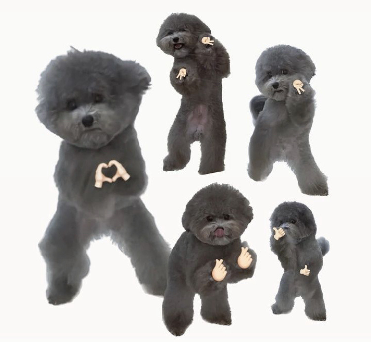 quotebot against humanity. (@ciowneryism) on Twitter photo 