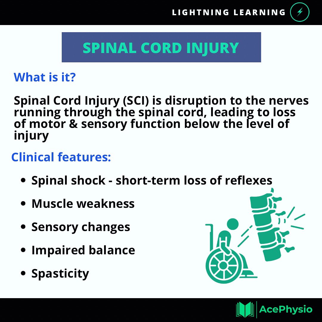 Save this post for a reminder on how to recognise spinal cord injury for your neuro placement!🚀

#physicaltherapy #dpt #physiostudent #ptstudent #neurophysiotherapy #neurophysio #spinalcordinjury