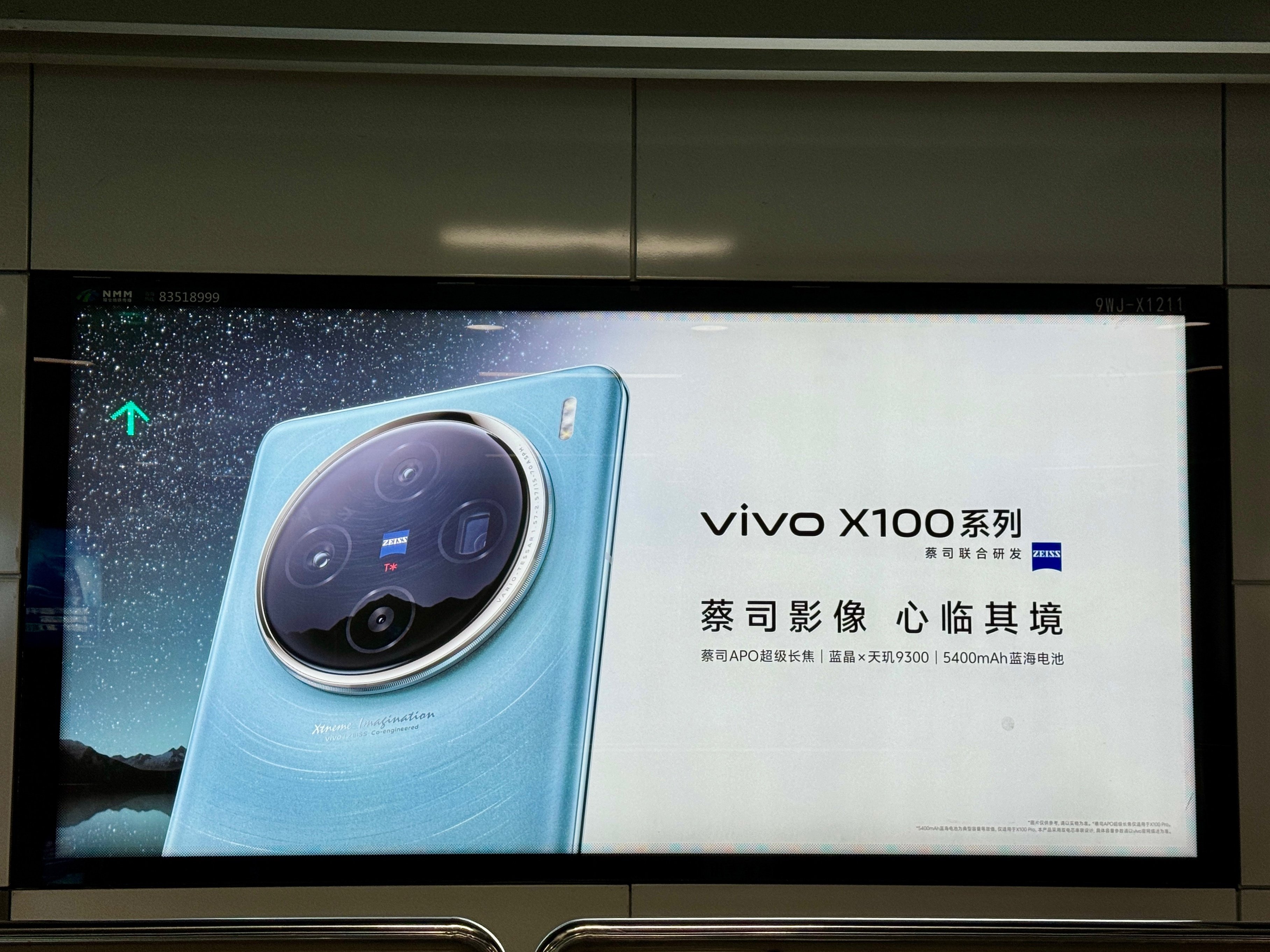 Vivo X100 series