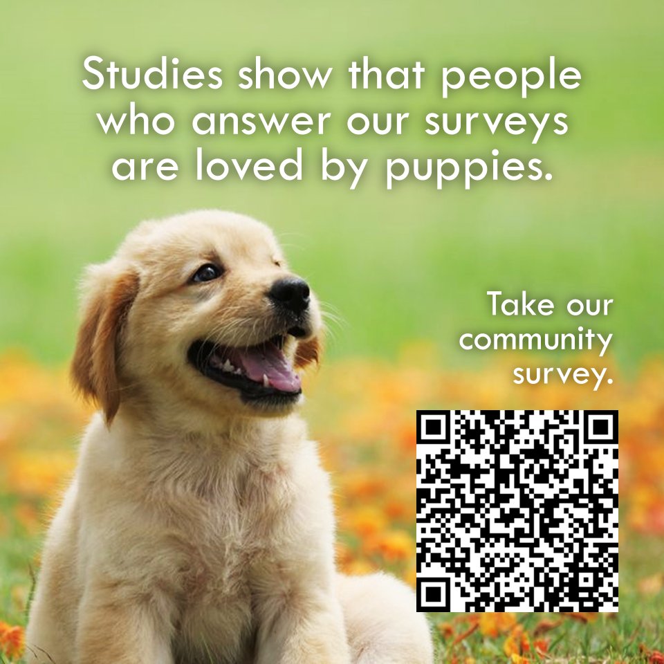 Studies show that people who answer our surveys are loved by puppies.
Your participation in this survey will be helpful in improving sexual health programs and services for Filipinos. Answer the survey by scanning the QR code or by visiting this link:  surveymonkey.com/r/6JVK5TB