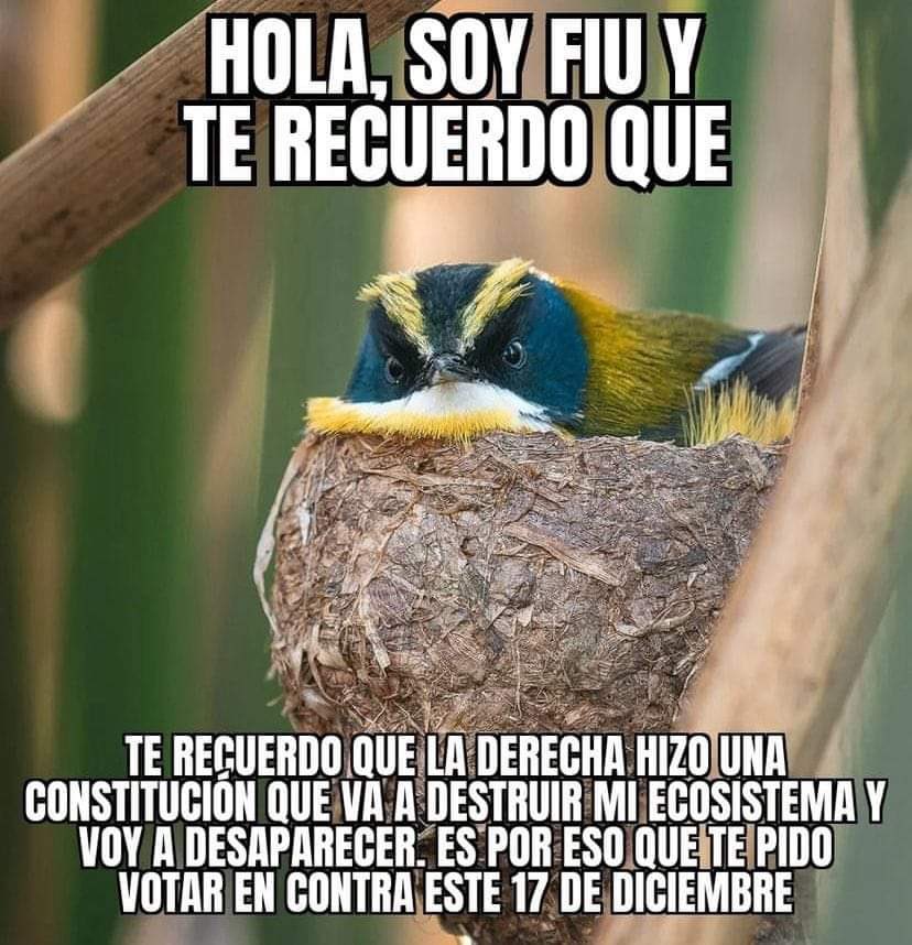 favdel_universo's tweet photo. #Panamericanos2023 https://t.co/loH3HYjAQ6