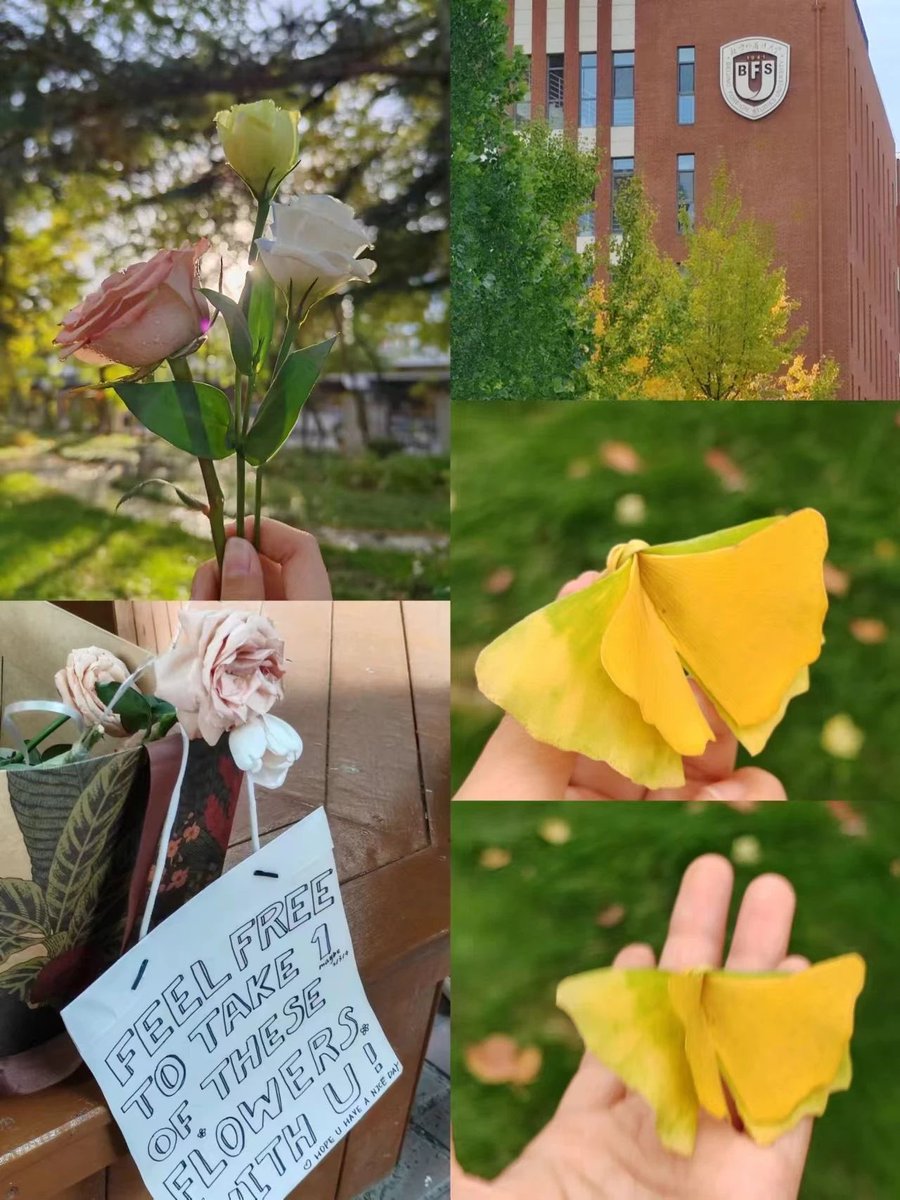 bfsu_official's tweet photo. #BFSUers build romance with fallen leaves🍂💗 https://t.co/6M7yQ2ZraQ
