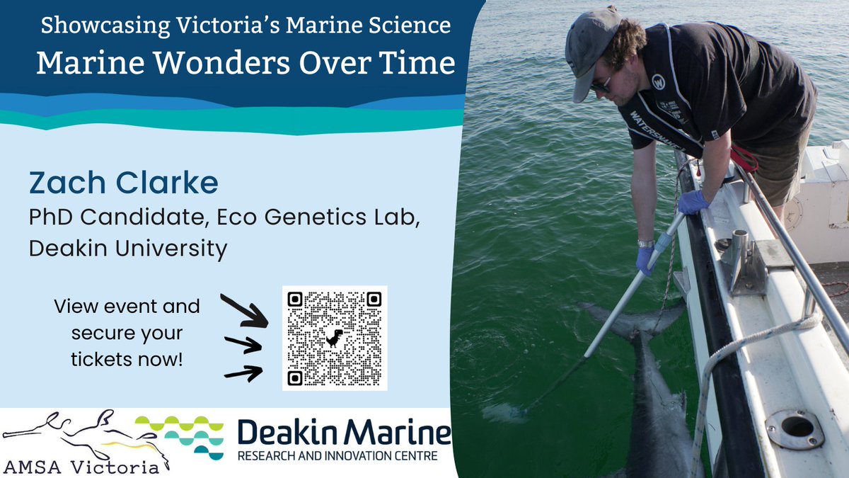 @amsa_marine @deakinresearch @Deakin @LTUresearchers @SABE_latrobe @UniMelb @VicFisheries @aims_gov_au 🦈Take a deep dive with Zach Clark, a PhD candidate at @Deakin's @EcoGeneticsLab that researches Great White Shark population structure, diet and movement patterns. His talk will unveil insights on white shark population genomics and relatedness patterns. 🌊 @amsa_marine