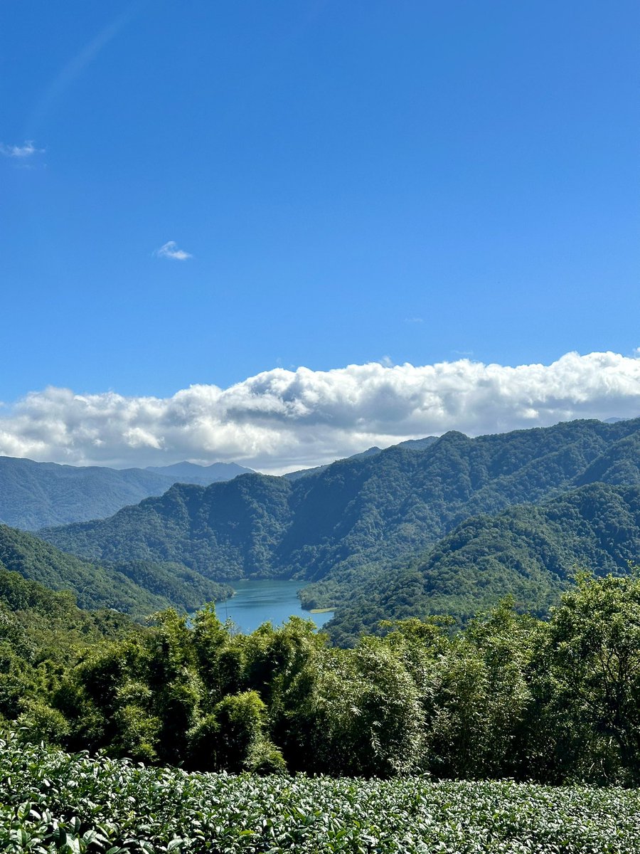 Emma Collins tweet media