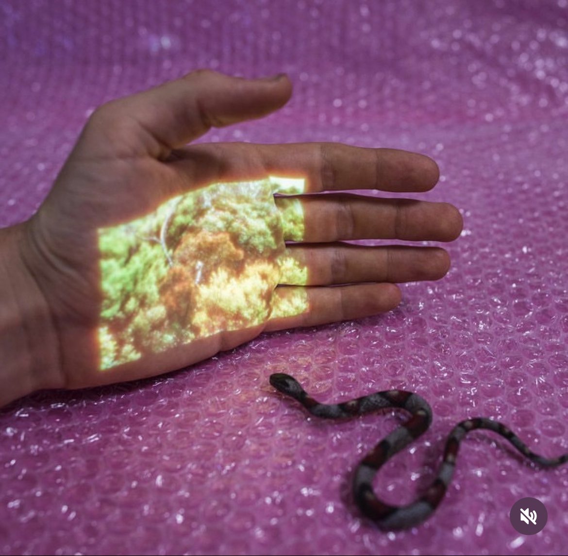 If you were a little snake I’d do this for you