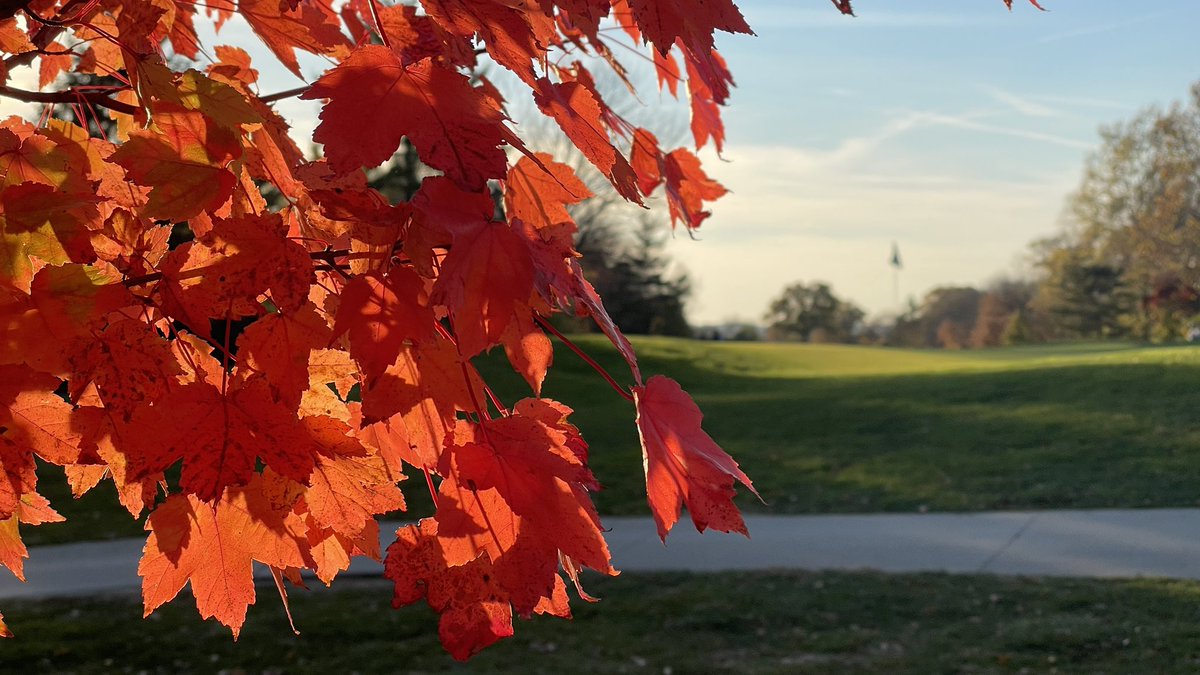 PHOTO OF THE DAY: Post peak fall colors at the 16th pin. Taken late this afternoon on the <a href="/BlueAshOhio/">City of Blue Ash</a> Golf Course.

#nofilterneeded #blueash #blueashohio #blueash #fallcolors #autumnleaves
